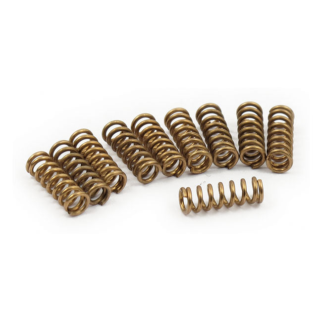 FRICTION SPRINGS