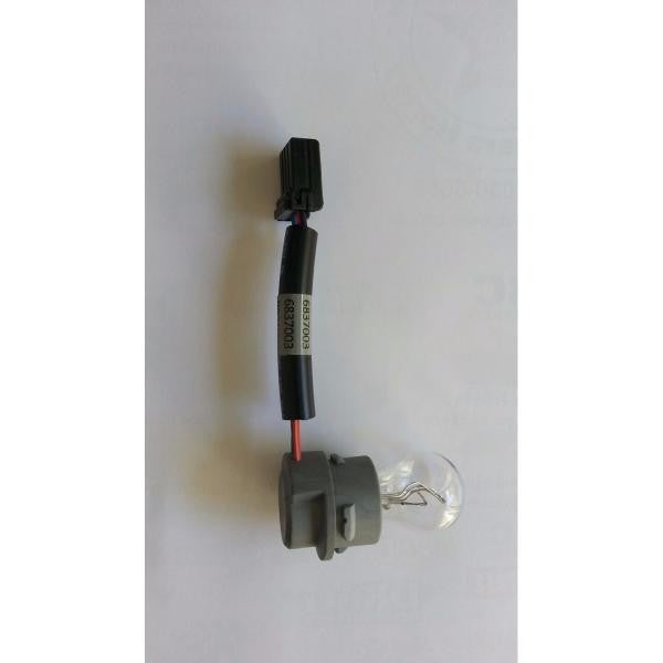 Tail Lamp Socket Assembly, Hdi