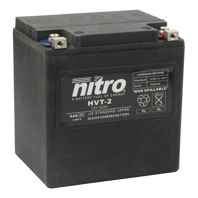 AGM Battery Sealed Touring 1997-13