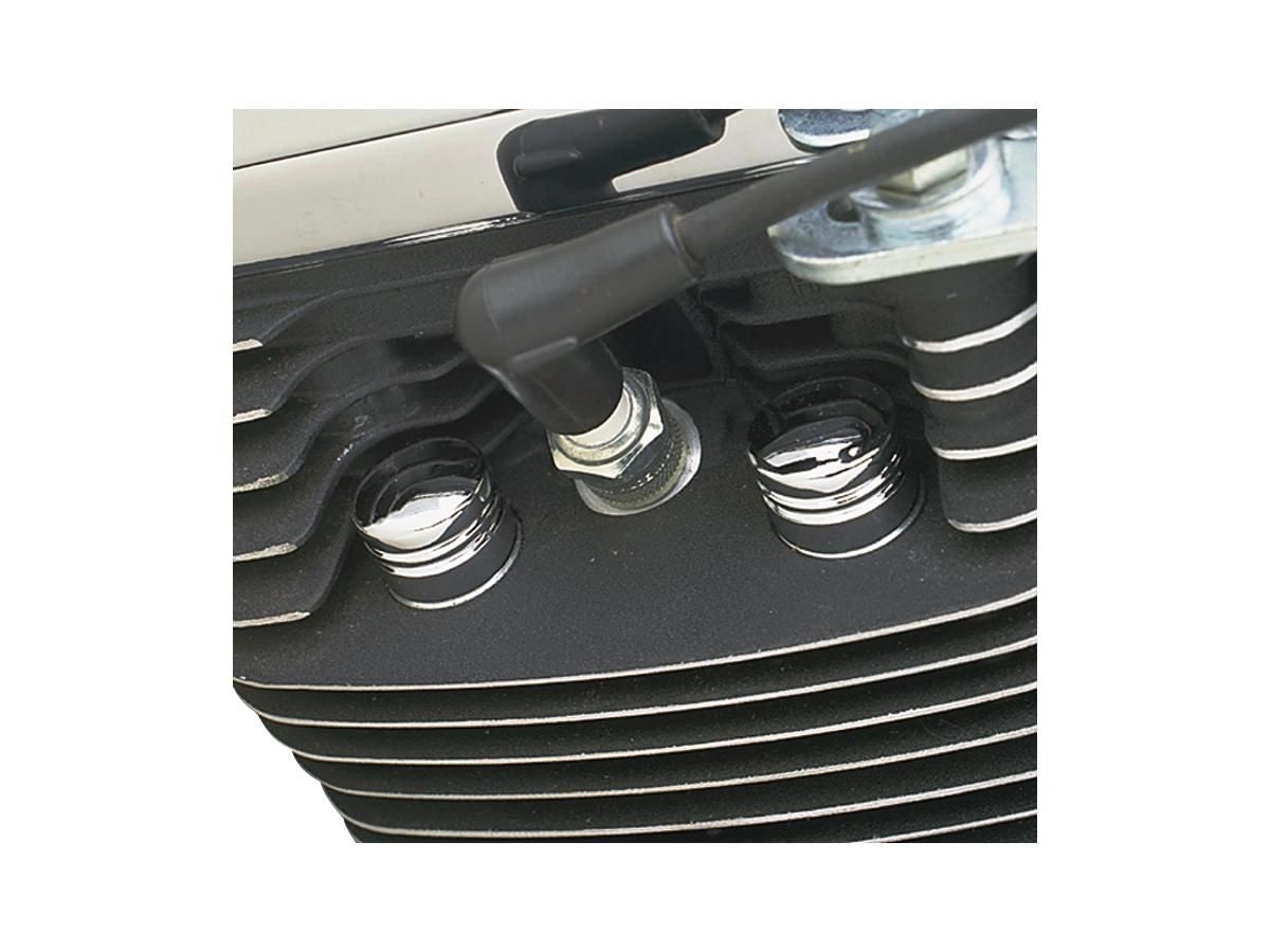 Slotted Head Bolt Covers 1985-16